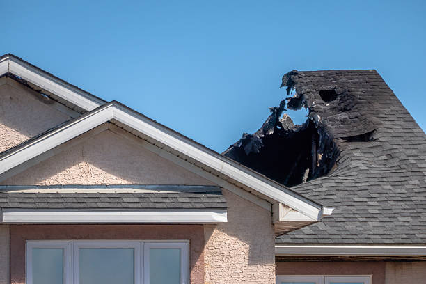 Top rated local Odor Removal specialists in Damascus, MD